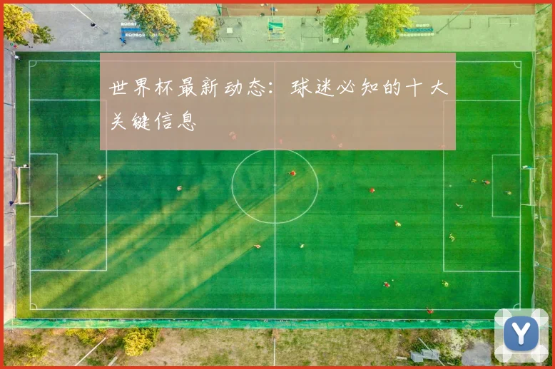 世界杯最新动态:球迷必知的十大关键信息